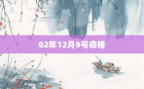 02年12月9号命格