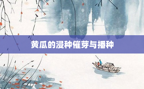 黄瓜的浸种催芽与播种