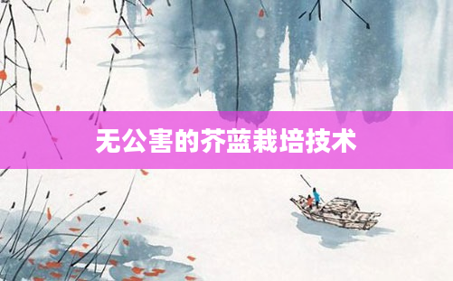 无公害的芥蓝栽培技术