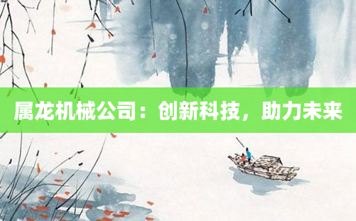 属龙机械公司：创新科技，助力未来