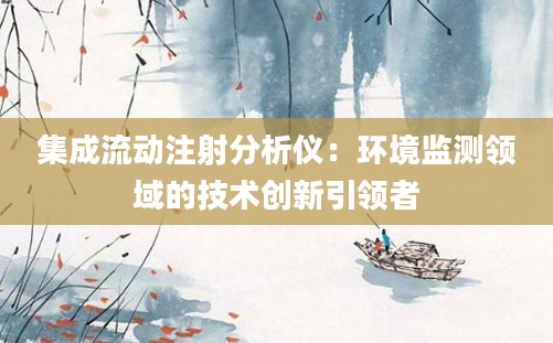 集成流动注射分析仪：环境监测领域的技术创新引领者