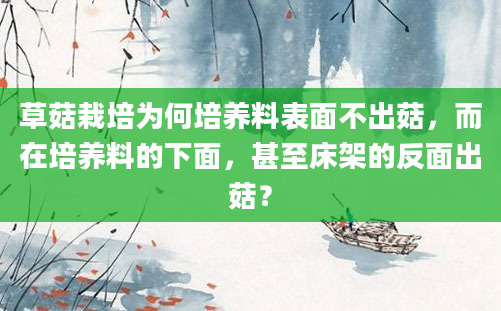 草菇栽培为何培养料表面不出菇，而在培养料的下面，甚至床架的反面出菇？