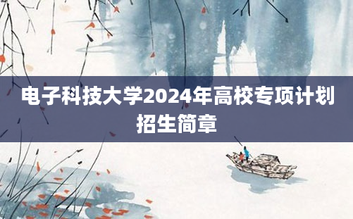 电子科技大学2024年高校专项计划招生简章