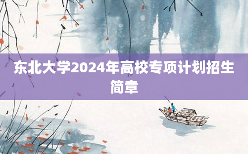 东北大学2024年高校专项计划招生简章