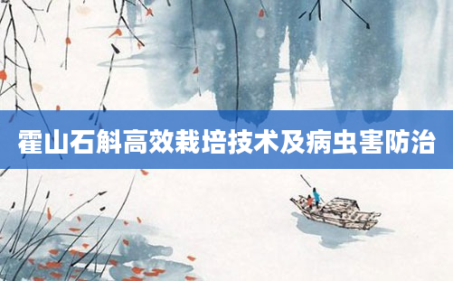 霍山石斛高效栽培技术及病虫害防治