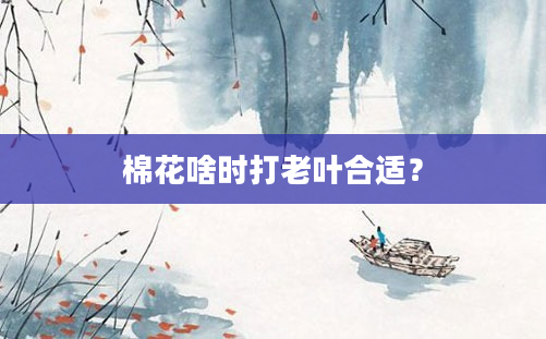 棉花啥时打老叶合适？